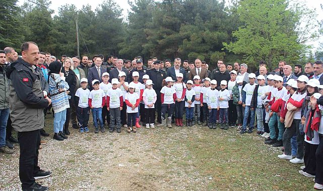 Ormanda çöp toplama etkinliği