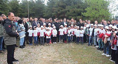Ormanda çöp toplama etkinliği