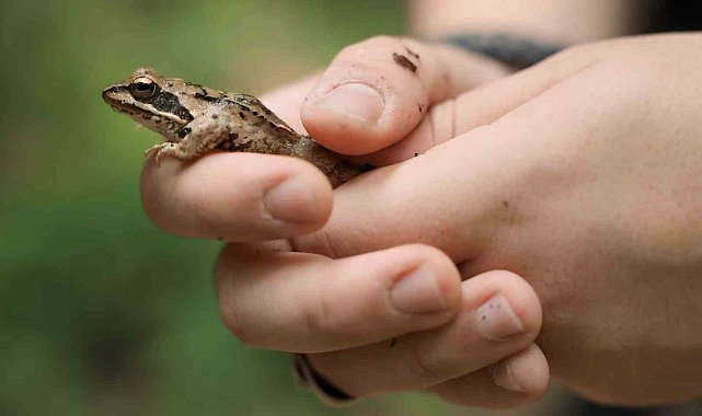 Ormanya'nın zengin biyoçeşitliliği kayıt altına alındı