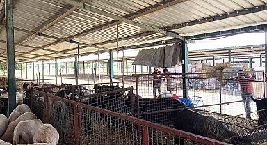 Ortaca'da kurban kesim yerleri kontrolden geçti