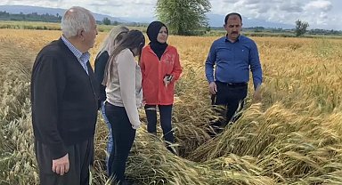 Osmaniye'de sağanak tarım arazilerine zarar verdi