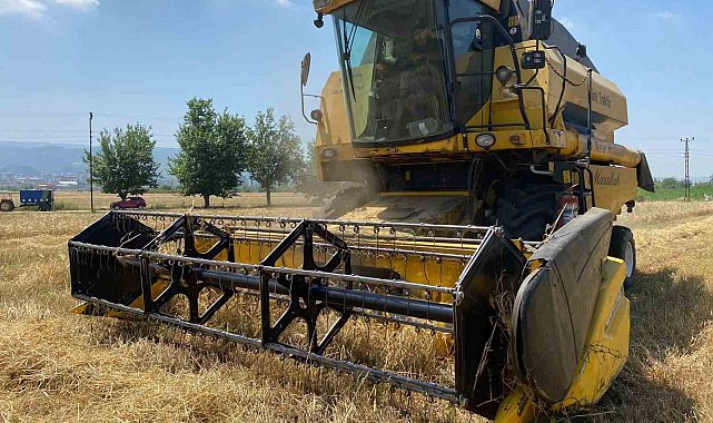 Osmaniye'de yüz güldüren buğday hasadı