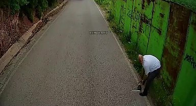Otobüs şoförü kaplumbağayı ezilmekten kurtardı