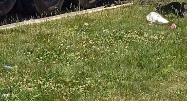 Otomobil vincin altına girdi, sürücü hayatını kaybetti