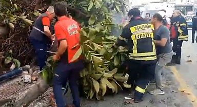 Otomobil yayalara çarptı, ağacı devirdi: 1 ölü, 3 yaralı