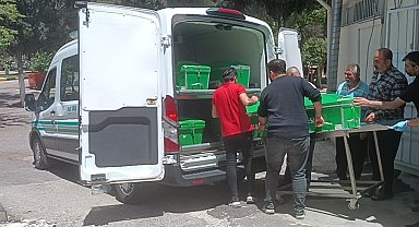 Para istediği dayısını olumsuz yanıt alınca öldürdü