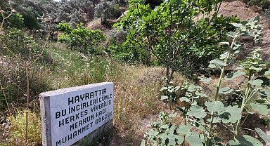 Paylaşmanın önemini gösteren yazı görenlerin içini ısıttı