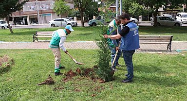 Peyzaj çalışması ile parklar güzelleştiriliyor
