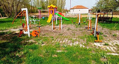 Pınarbaşı'nda başıboş köpekler toplanacak