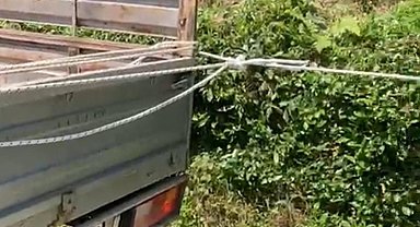 Rizeli'nin çay taşıma yöntemi ilgi çekti