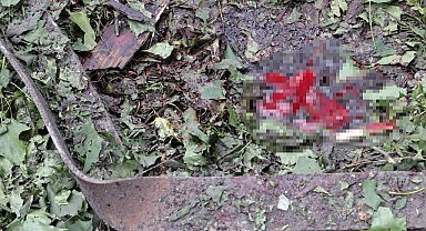 Rusya bir kez daha Harkov'u vurdu: 5 ölü