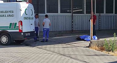 Sabah işe gelen esnaf buldu
