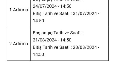 Sabancı Müzesi'ndeki 97 yıllık Atlı Köşk icradan satışa çıkarıldı