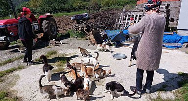Sahiplendikleri 40 kedi ve 8 köpeğe el işi yaparak bakıyorlar
