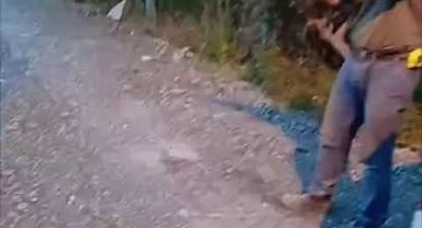 Sahipsiz köpeği tüfekle öldüren şahıs yakalandı, o anlar kamerada