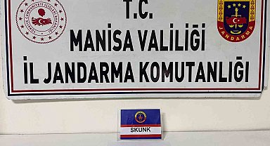 Salihli'de şüpheliden Skunk ele geçirildi