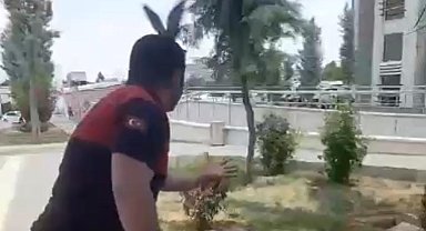 Şanlıurfa'da demir kolonda mahsur kalan güvercin kurtarıldı
