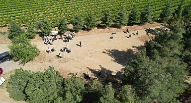 Sarıgöl ormanlarından 3 ton çöp toplandı