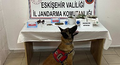 Satmak için ikametlerinde uyuşturucu yetiştiren 2 şüpheli yakalandı