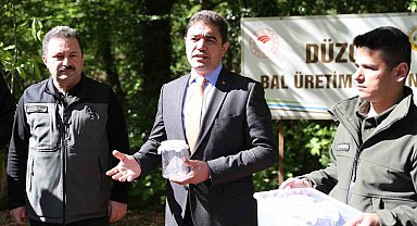 Savaşçı böcekler doğaya salındı