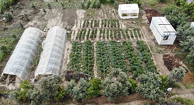 Şiddetli yağmurun etkili olduğu Hatay'da tarım arazileri sular altında kaldı