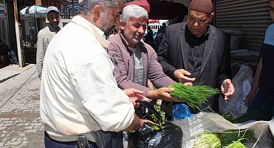 Siirt'te peynir yapımında kullanılan 'Sirik' otu tezgahlarda