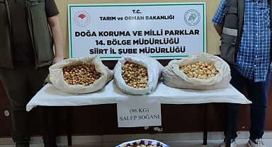 Siirt'te salep soğanı toplayan şahıslara 387 bin 141 lira ceza kesildi