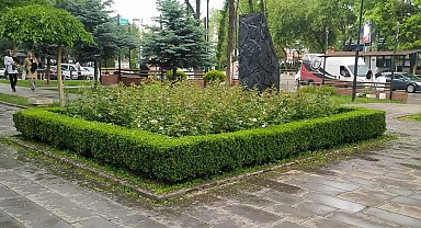 Sincan Belediyesinden ağaçlara bakım
