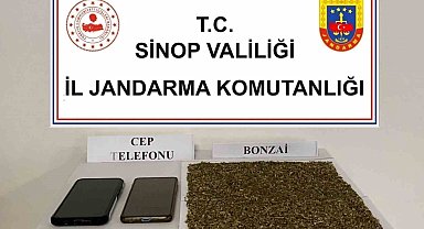 Sinop'ta 80 gram bonzai ele geçirildi