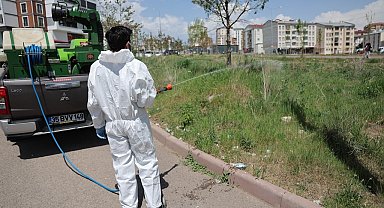 Sivas'ta kene tedbiri, yeşil alanlar ilaçlanıyor
