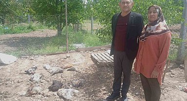 Sokak köpekleri en acı Anneler Günü hediyesini verdi