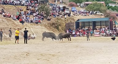Söke'de boğa güreşi heyecanı