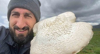 Solhan'da 2 kilogramlık mantar bulundu
