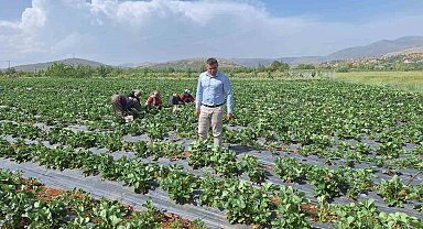 Son yağışlar Hüyük'te çiftçilerin yüzünü güldürdü