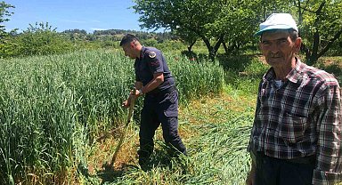 Tarlasında çalışmaktan yorgun düşen çiftçiye jandarma yardım etti