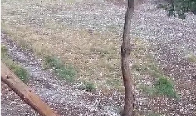 Tavşanlı'da ceviz büyüklüğünde dolu yağdı