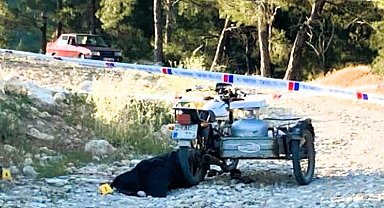 Tek domuz kurşunuyla hem annesini hem de babasını vurdu: 1 ölü, 1 ağır yaralı