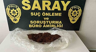 Tekirdağ'da bonzai ele geçirildi
