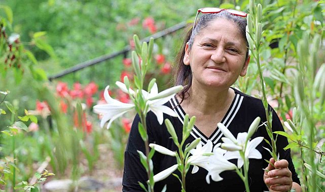 Tokat'tan getirdi, Kozan yaylalarında üretime başladı