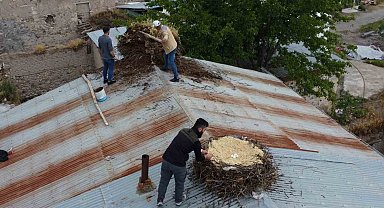 Tunceli'de örnek davranış: Hasarlı binaların çatılarındaki leylek yuvaları güvenli yere taşındı