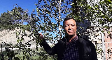 Türkiye'nin en soğuk ili olan Bolu'da ürünler soğuktan yandı