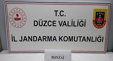 Uyuşturucu kullanan 13 kişi yakalandı