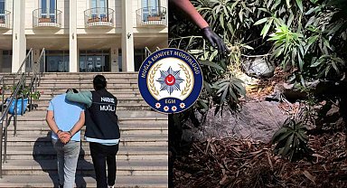 Uyuşturucu operasyonunda 2 gözaltı