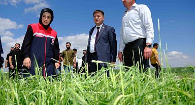 Vali Sarıibrahim, dolunun zarar verdiği arazilerde incelemelerde bulundu