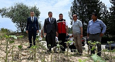 Vali Yılmaz, şiddetli yağmur nedeniyle zarar gören tarım arazilerinde inceleme yaptı