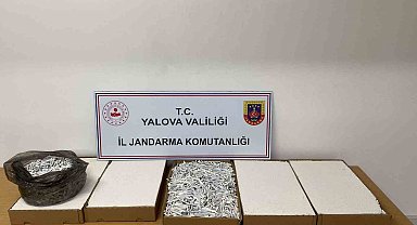 Yalova'da 35 bin adet dolu makaron ele geçirildi