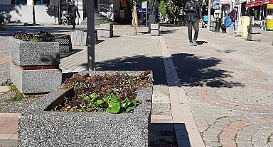 Yalova'da Vandallar iş başında