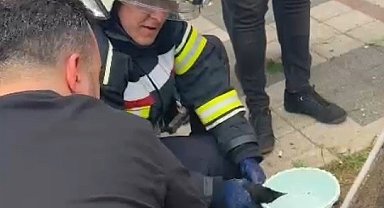 Yaralı karga itfaiye erlerince ağaçtan indirildi