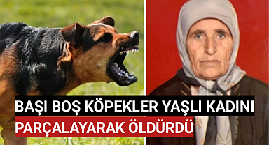 Yaşlı Kadın Başıboş Köpekler Tarafından Parçalanmış Halde Ölü Bulundu