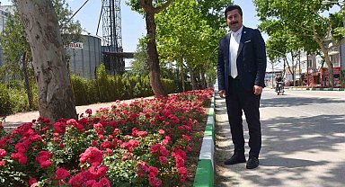 Yenişehir'in vitrininde bahar havası